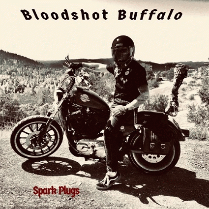 Bloodshot Buffalo : Spark Plugs